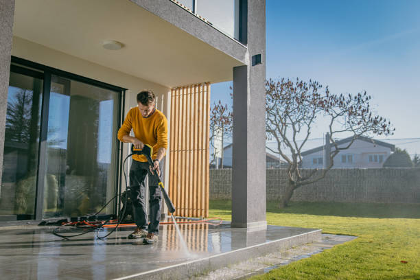 Best Solar Panel Cleaning  in Mclendon Chisholm, TX
